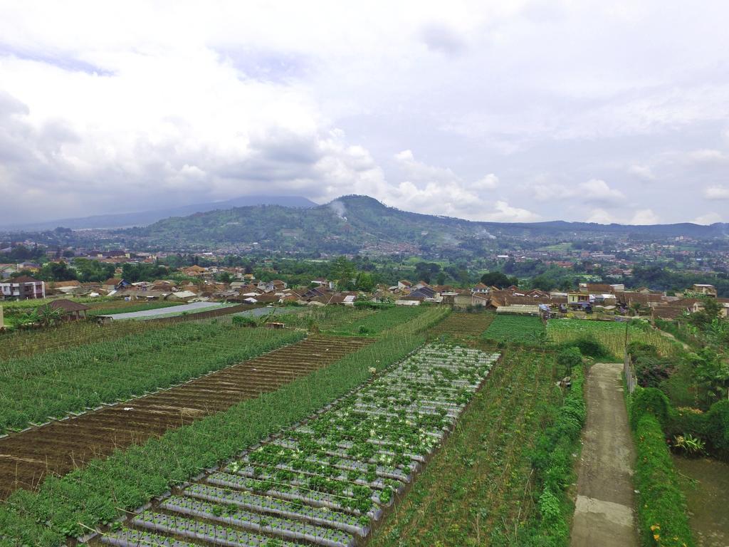 Vila Bunga Merah Gelatik Lembang Exterior foto