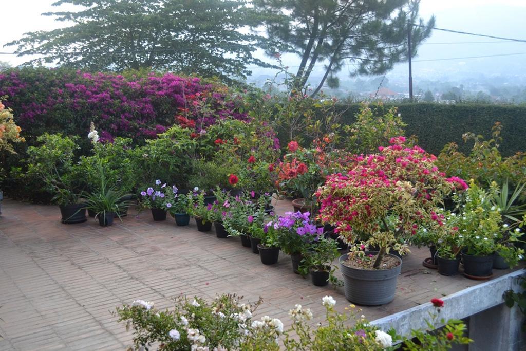 Vila Bunga Merah Gelatik Lembang Exterior foto